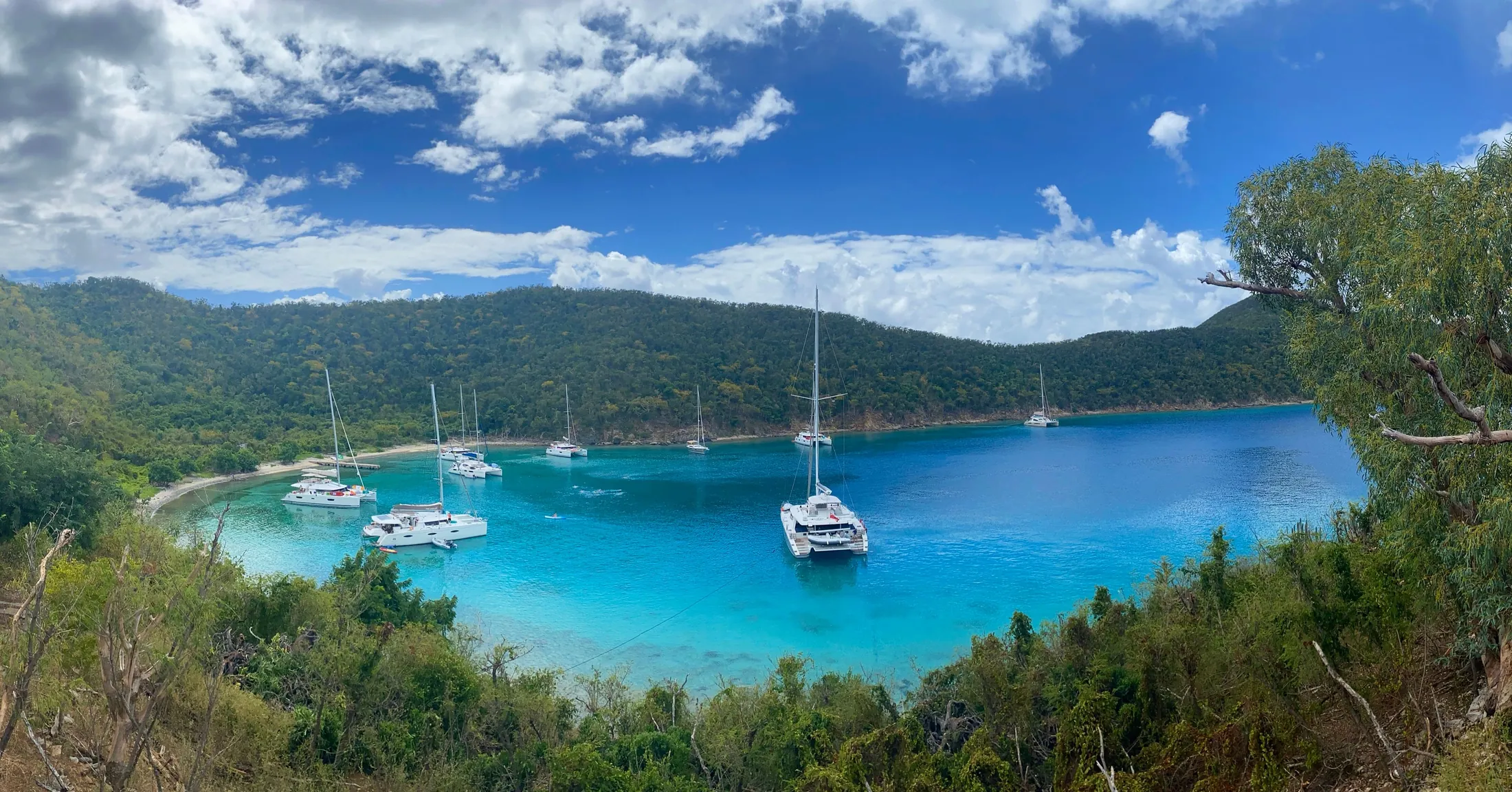Sailboats and catamarans anchored in a turquoise bay in the British Virgin Islands